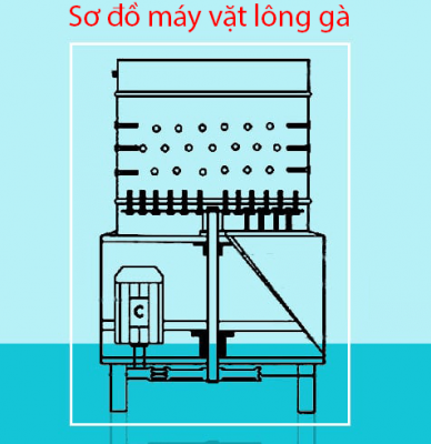 máy vặt lông gà